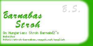 barnabas stroh business card